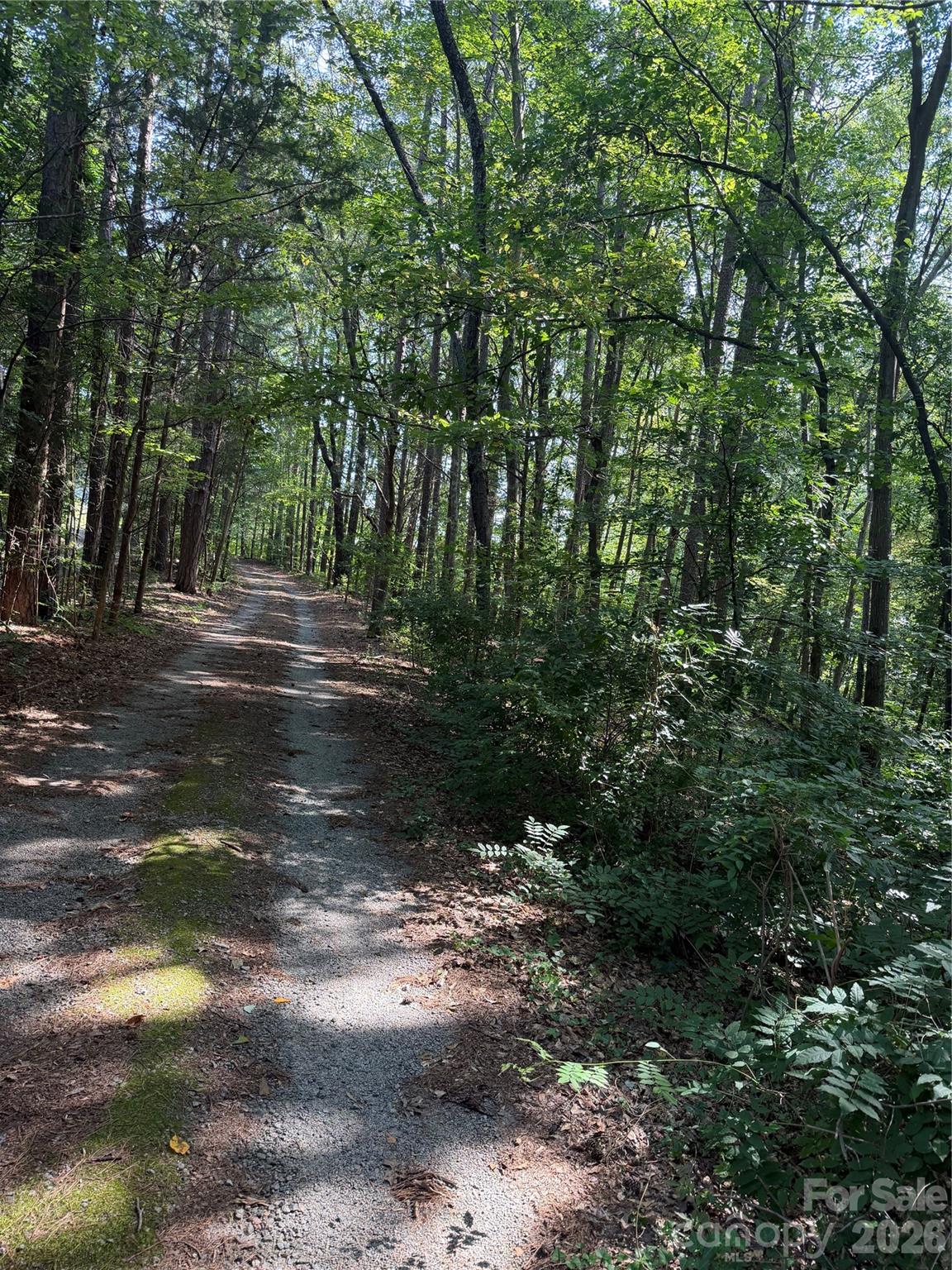 202 Horseshoe Lake Road Property Photo 3