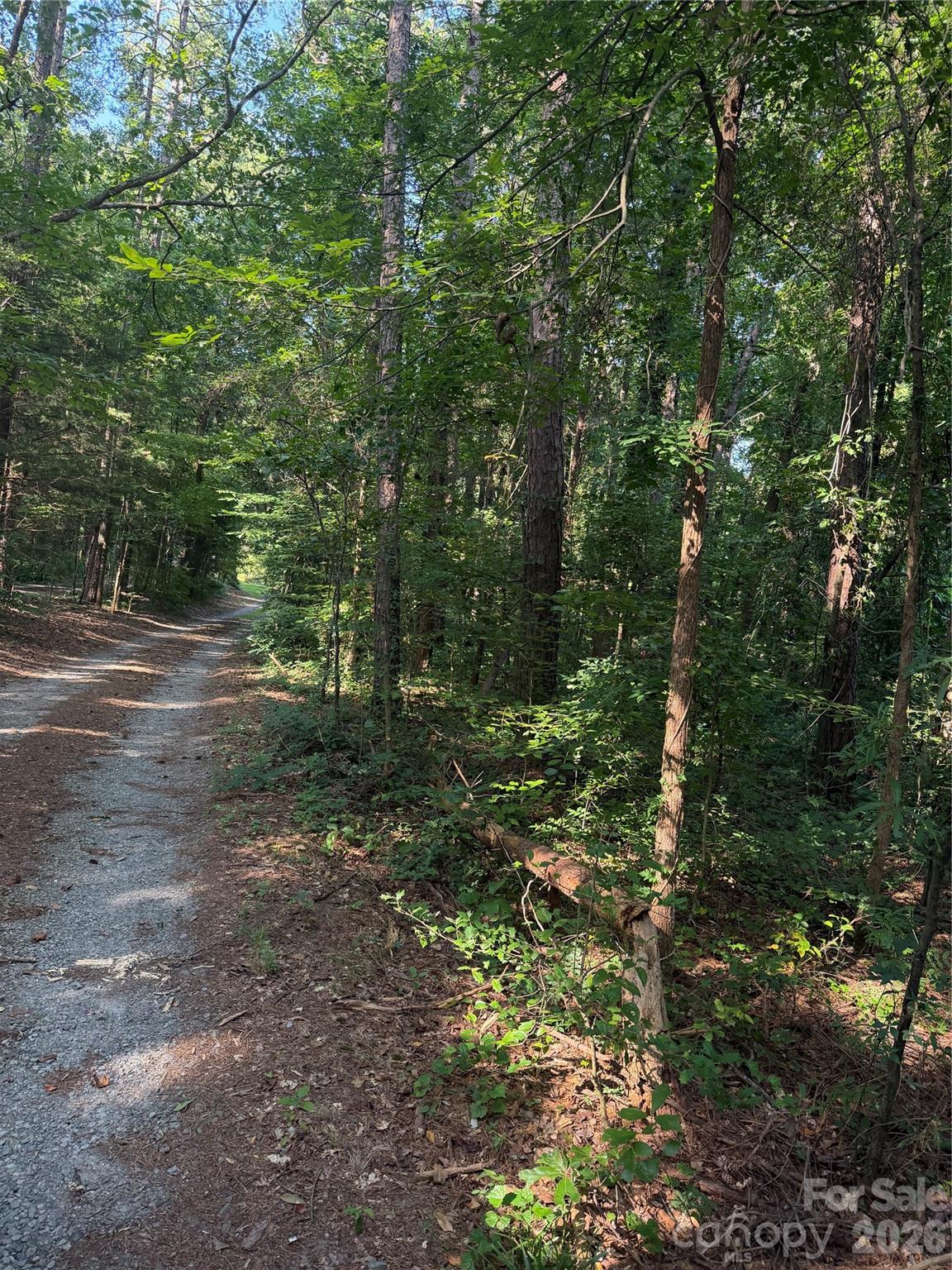 202 Horseshoe Lake Road Property Photo 8
