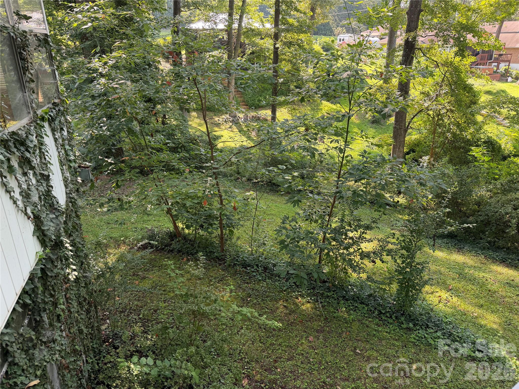 202 Horseshoe Lake Road Property Photo 9