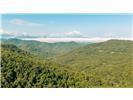 Lot 28 Rushing Falls Way Property Photo 2