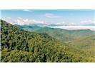 Lot 28 Rushing Falls Way Property Photo 5