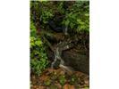 Lot 28 Rushing Falls Way Property Photo 8