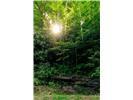 Lot 28 Rushing Falls Way Property Photo 9