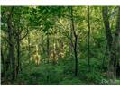 Lot 28 Rushing Falls Way Property Photo 11