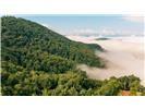 Lot 28 Rushing Falls Way Property Photo 13