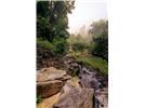 Lot 28 Rushing Falls Way Property Photo 17