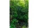 Lot 28 Rushing Falls Way Property Photo 19