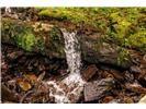 Lot 28 Rushing Falls Way Property Photo 20