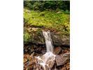 Lot 28 Rushing Falls Way Property Photo 21