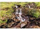 Lot 28 Rushing Falls Way Property Photo 23