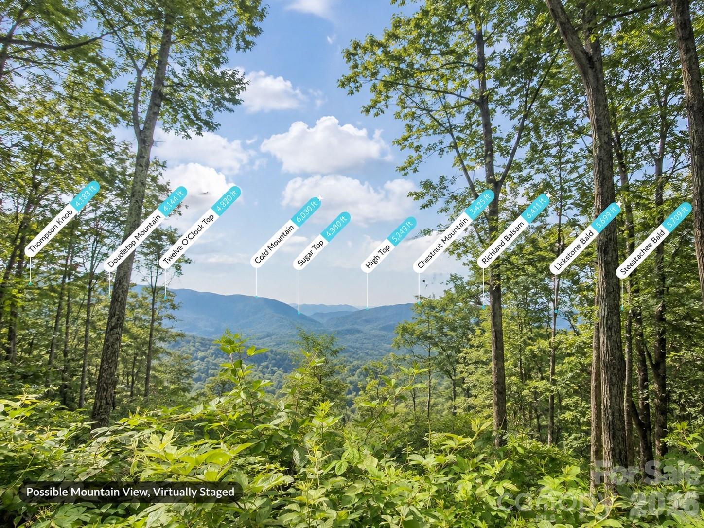Lot 21 Summit Drive Property Photo 4