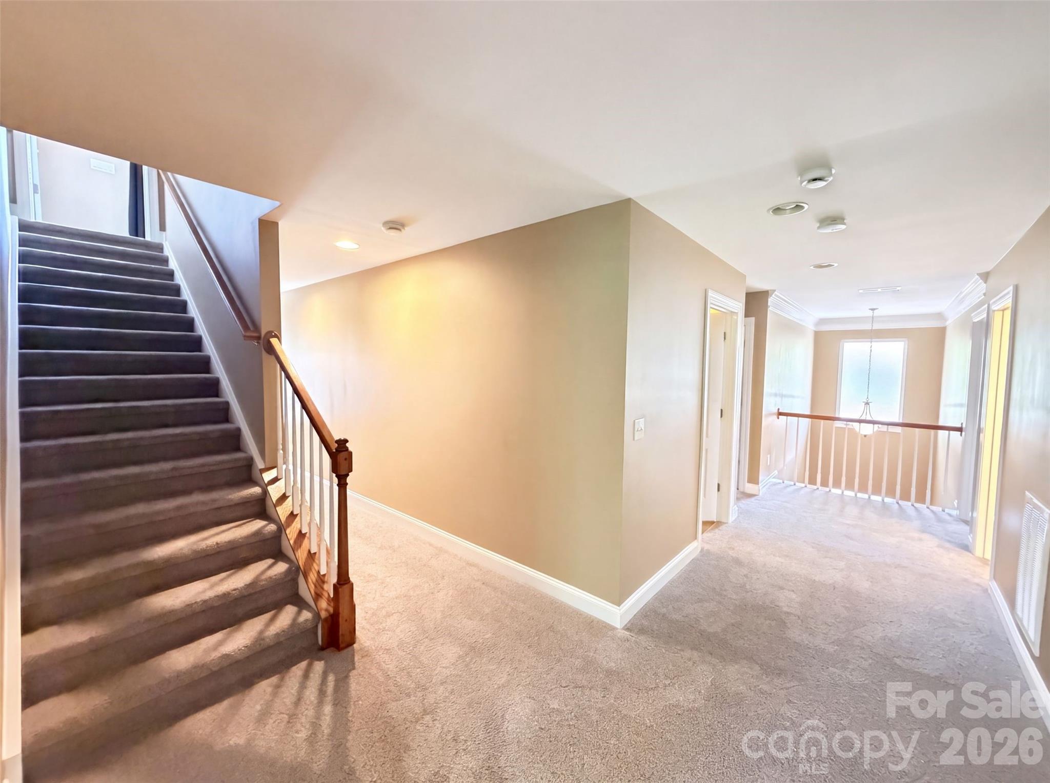 9928 Daufuskie Drive Property Photo 20