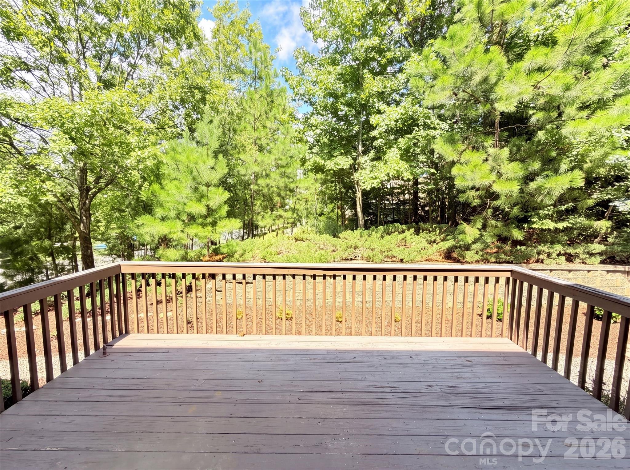 9928 Daufuskie Drive Property Photo 25
