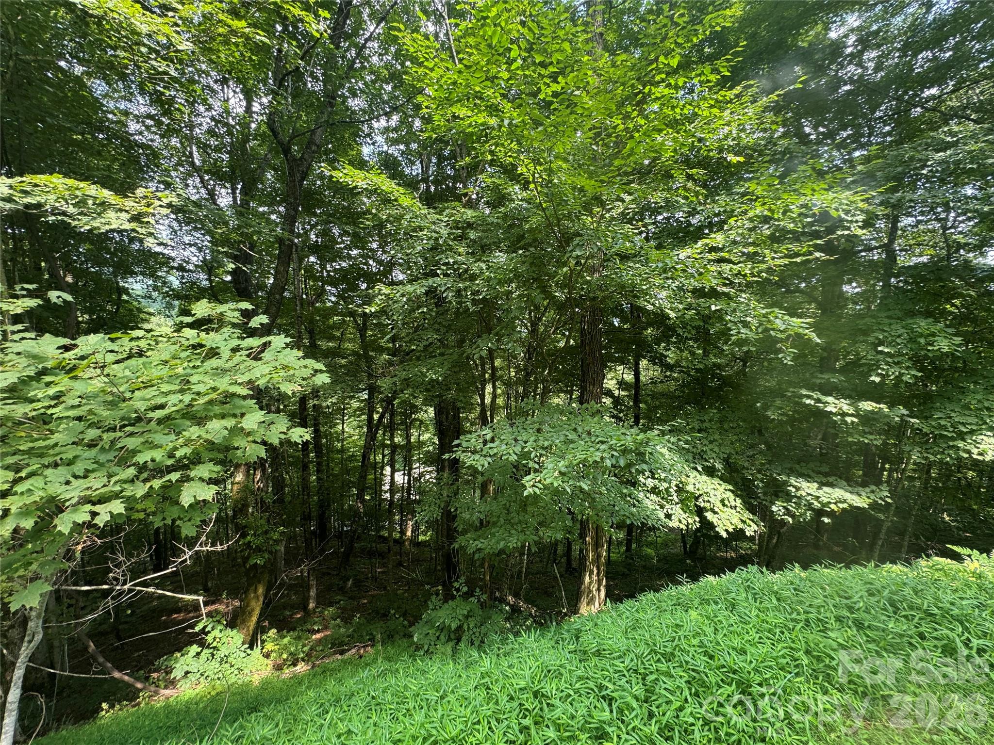 84 Goldenleaf Road Property Photo 4