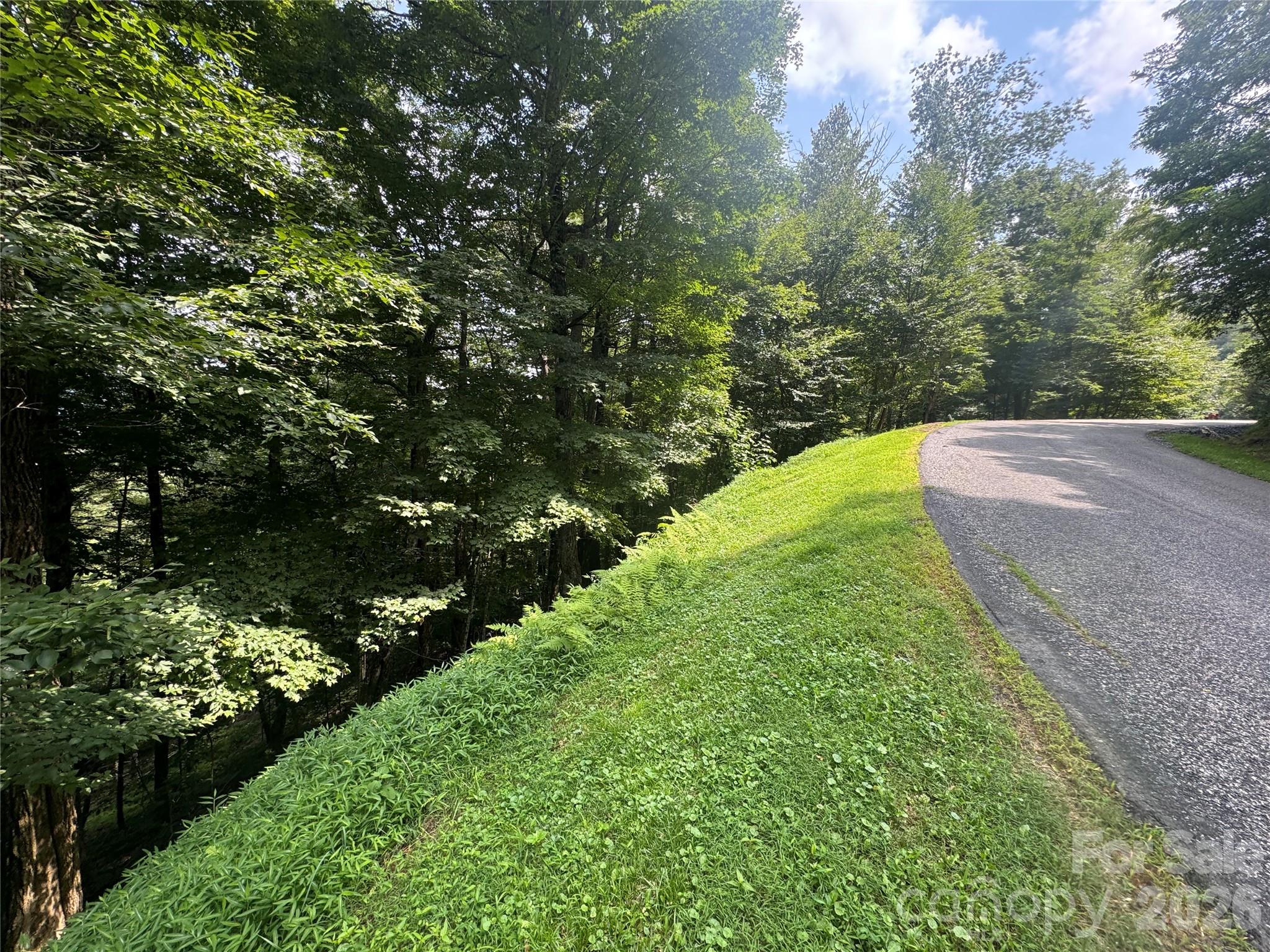 84 Goldenleaf Road Property Photo 8