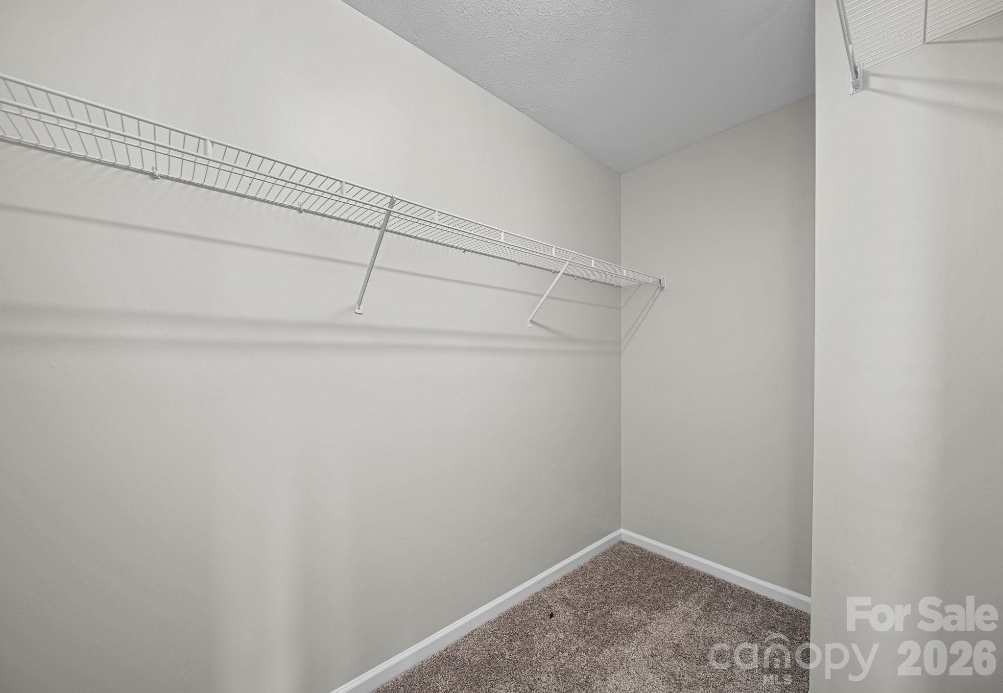 8246 Weeping Fig Lane Property Photo 23