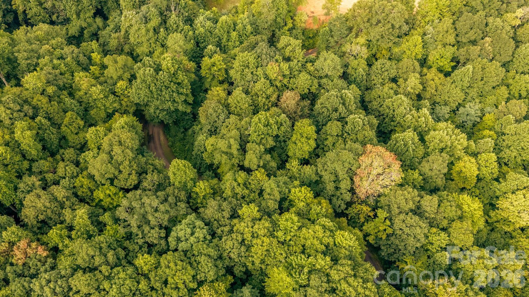 Lot36/37 Falls View Drive Property Photo 9