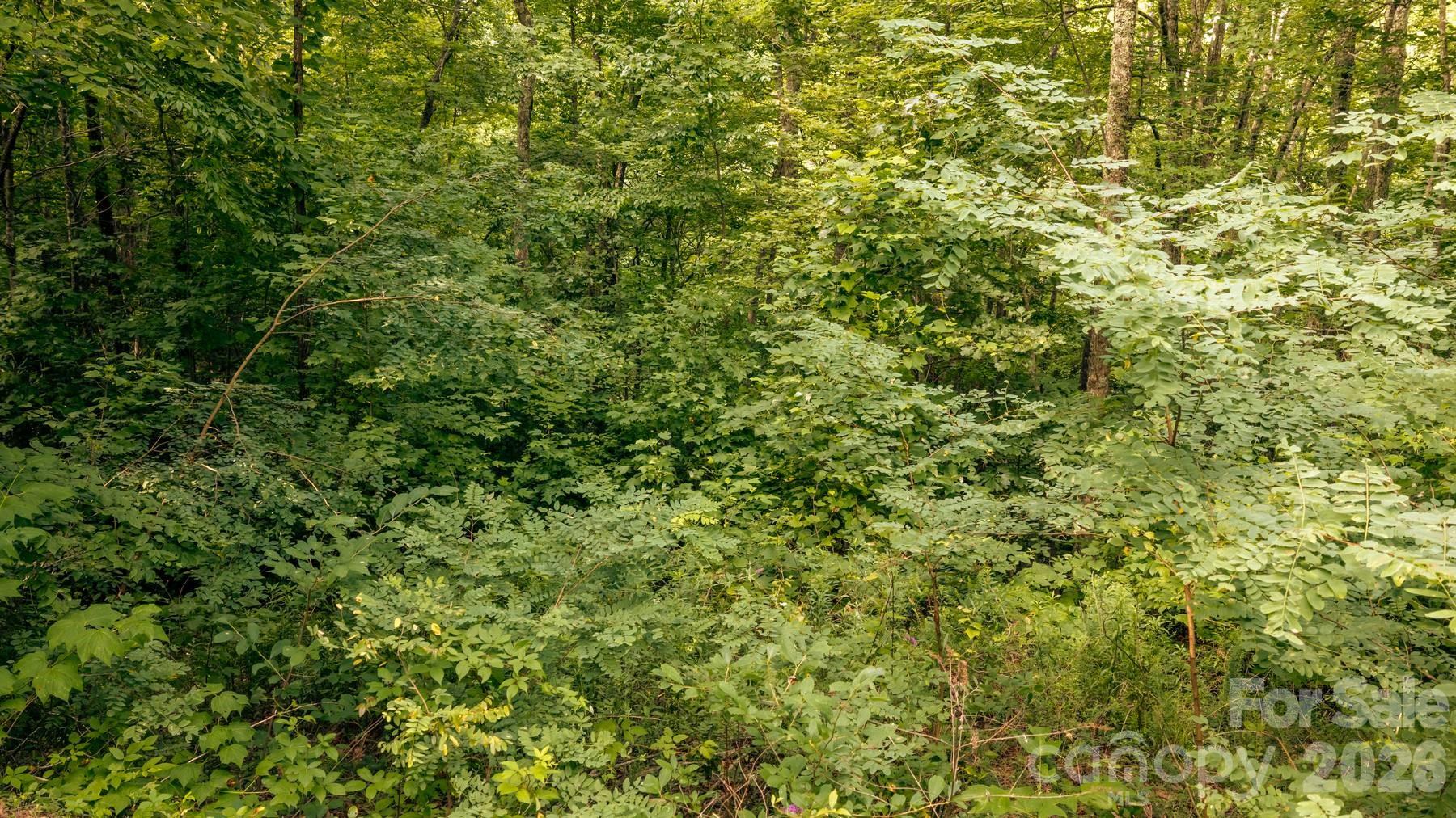 Lot36/37 Falls View Drive Property Photo 10