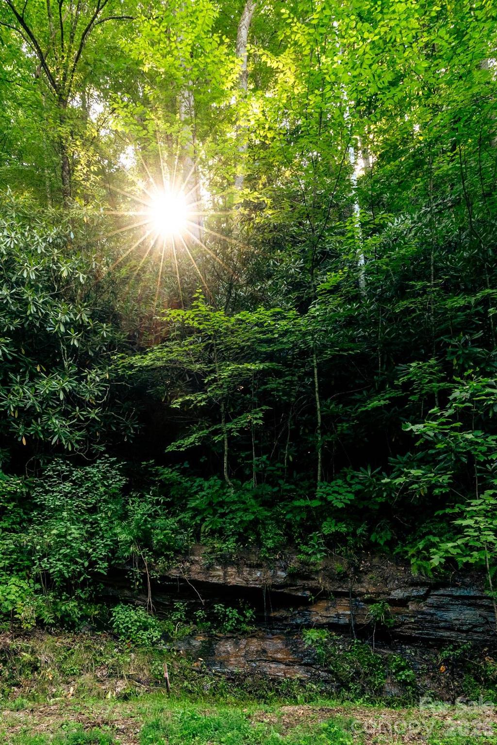 Lot36/37 Falls View Drive Property Photo 11