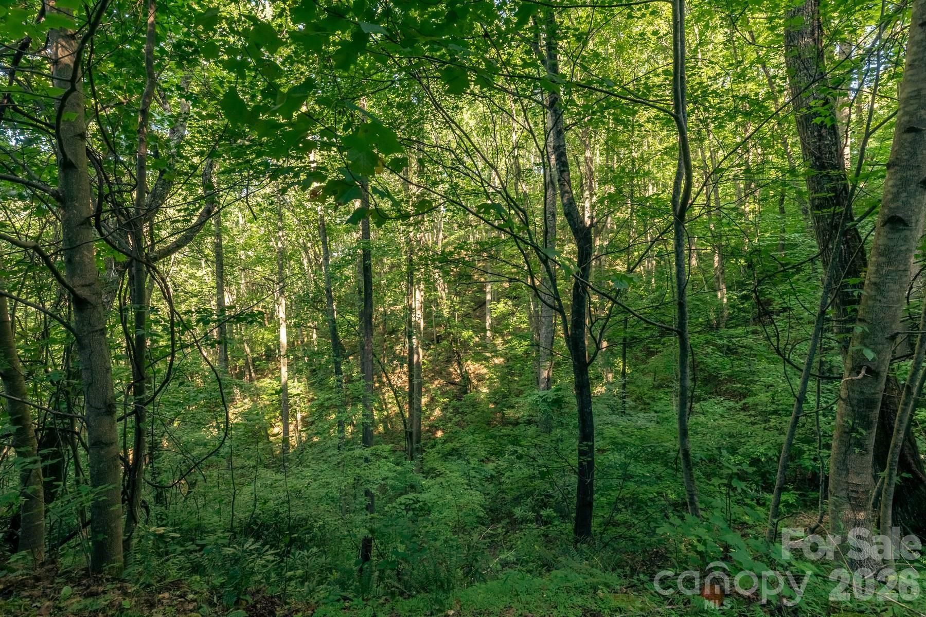 Lot36/37 Falls View Drive Property Photo 12