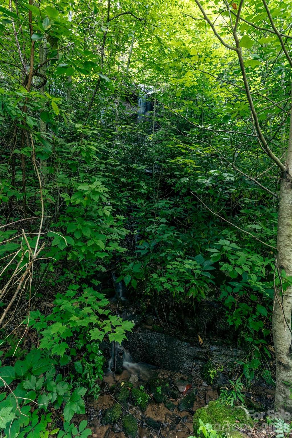 Lot36/37 Falls View Drive Property Photo 20
