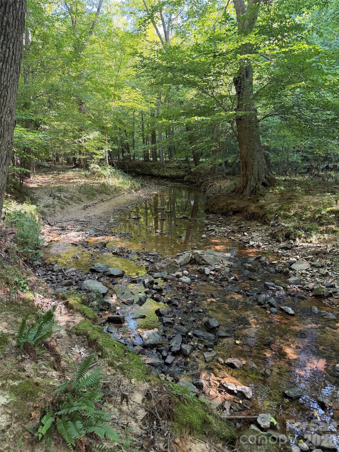 508 Red Barn Trail Property Photo 48