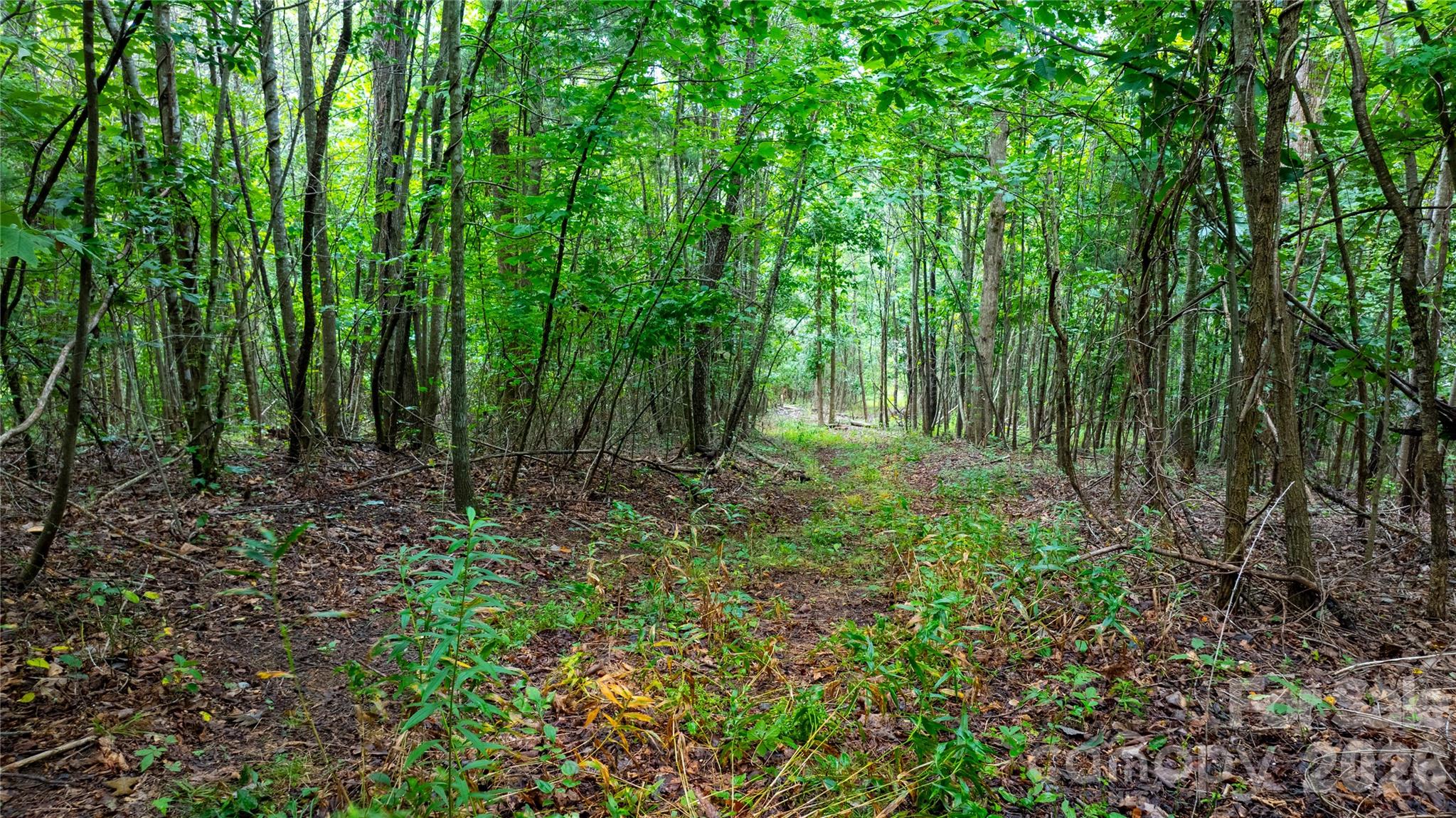 99999 Bob Barnwell Road Property Photo 5