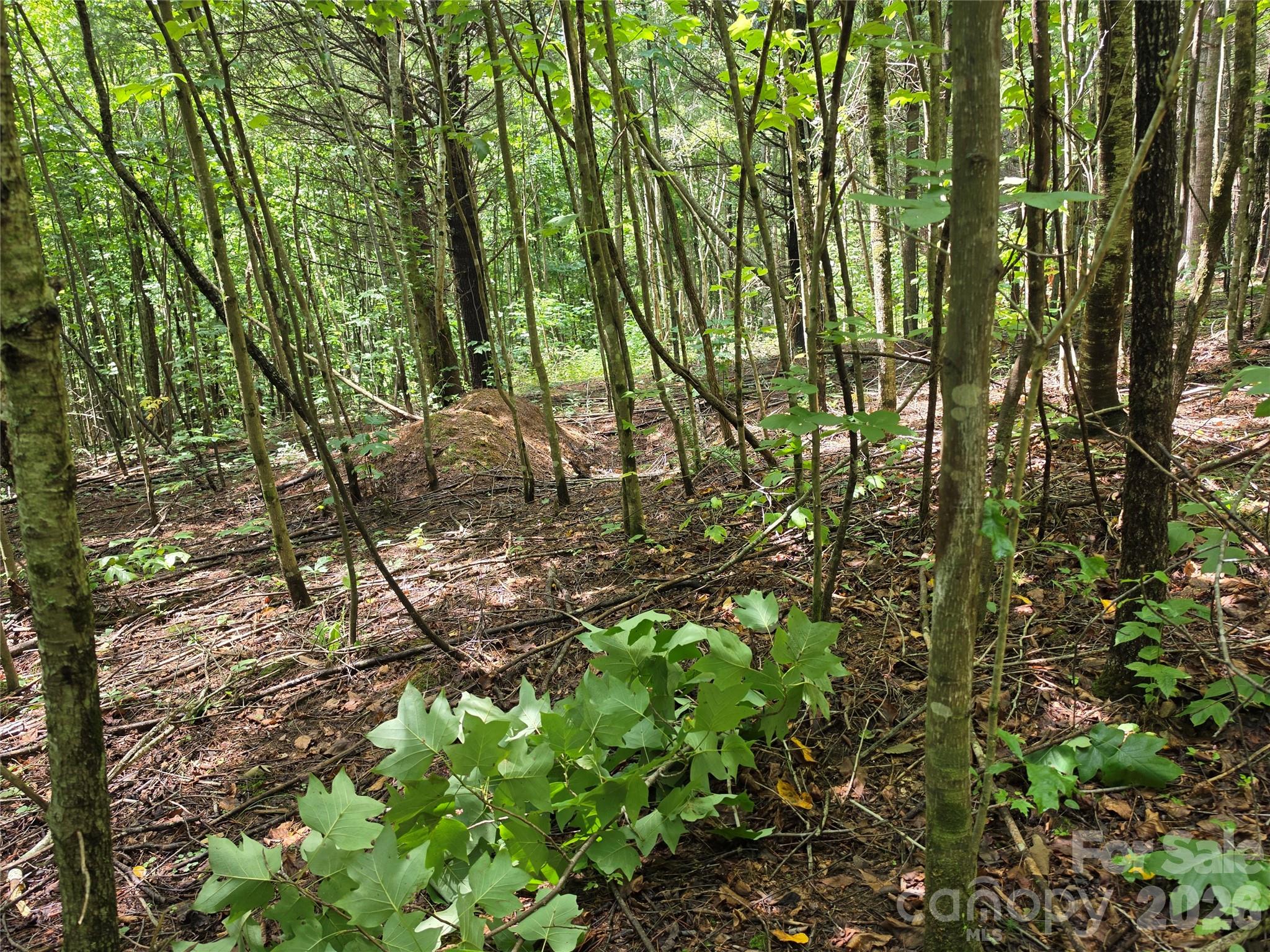 99999 Bob Barnwell Road Property Photo 29