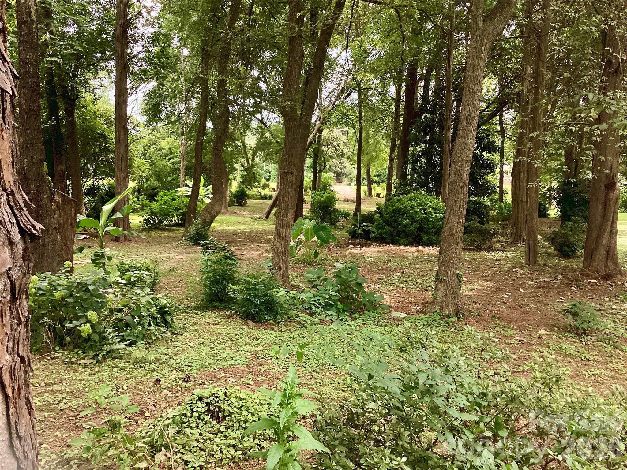 1553 Mcconnells Highway Property Photo 2