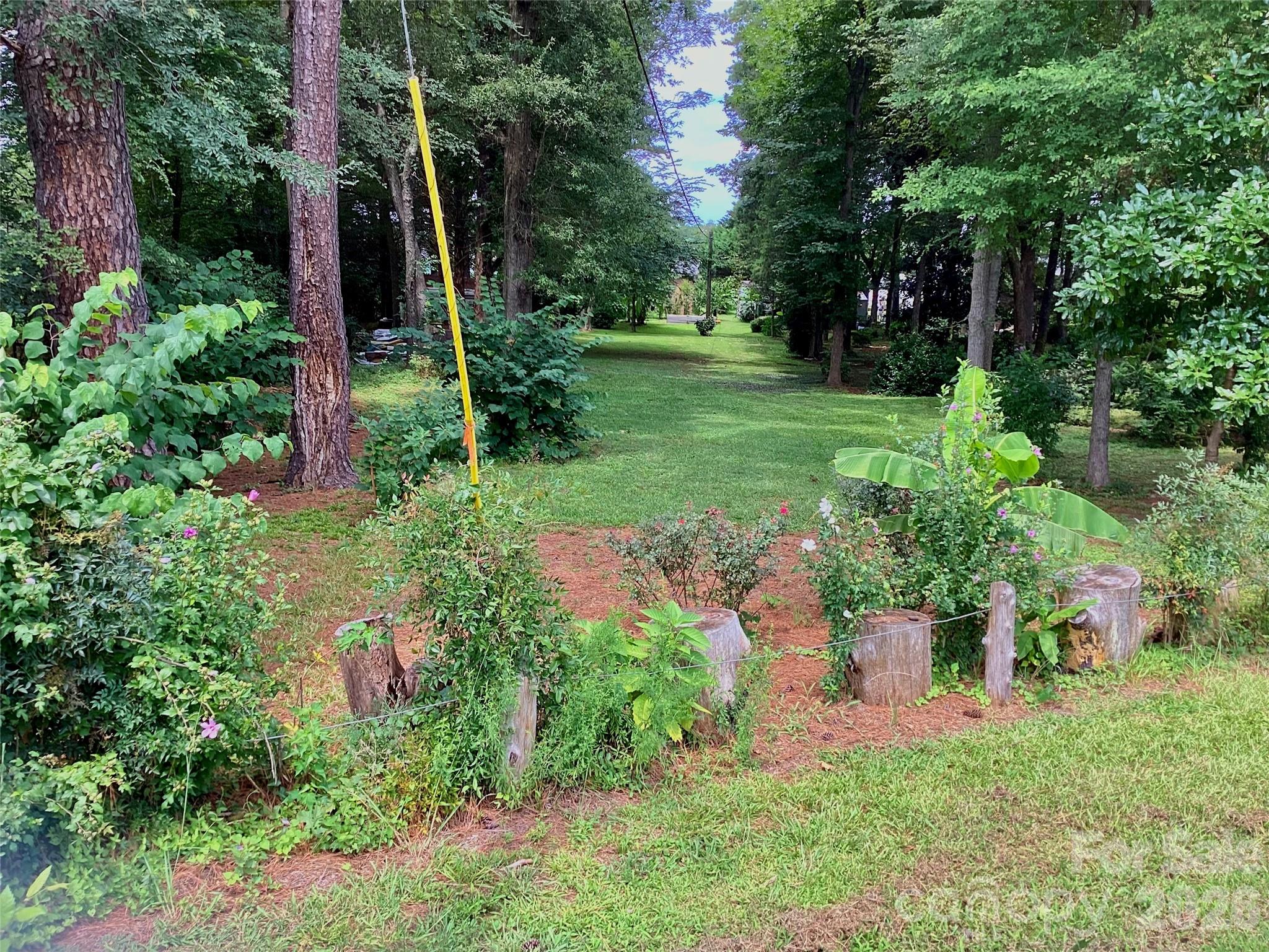1553 Mcconnells Highway Property Photo 3
