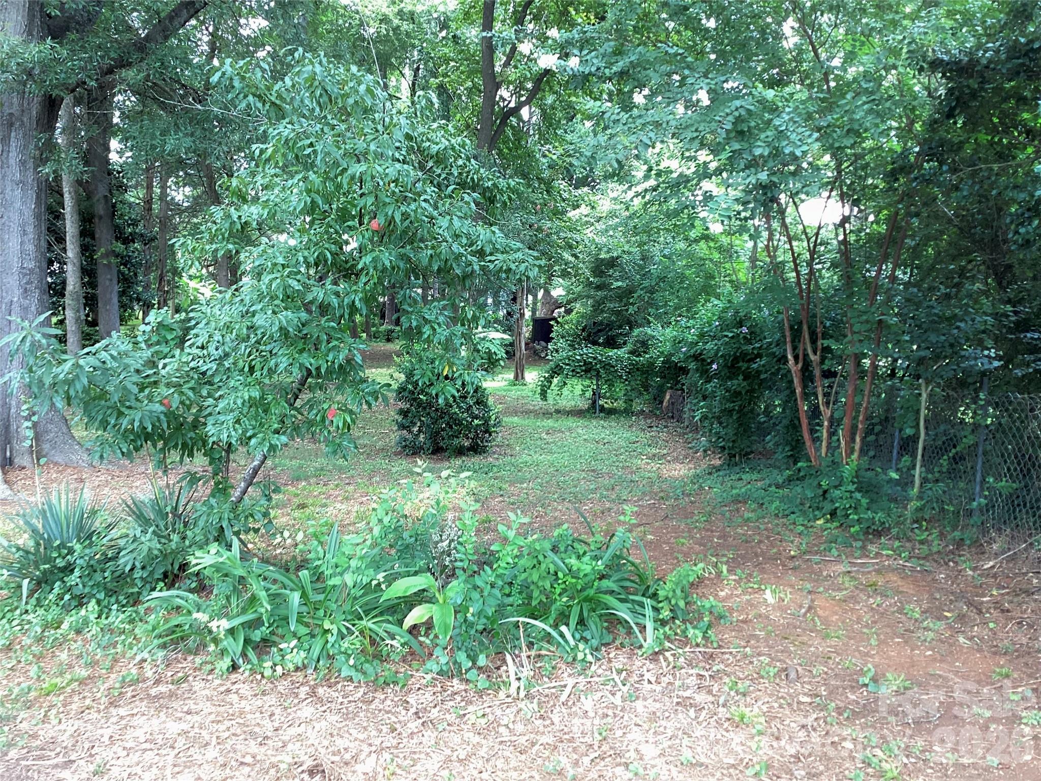 1553 Mcconnells Highway Property Photo 4