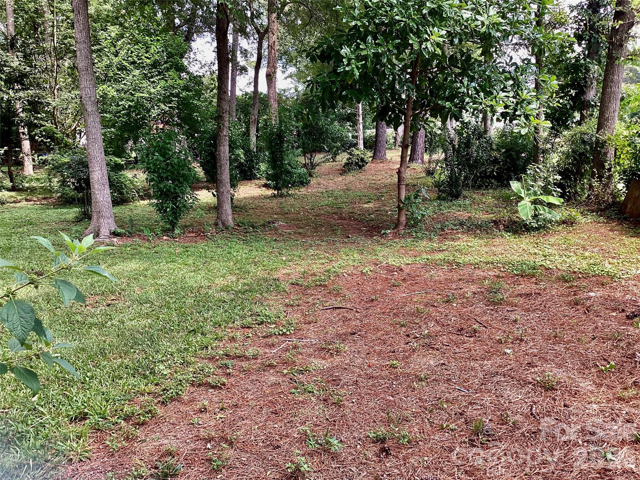 1553 Mcconnells Highway Property Photo 8
