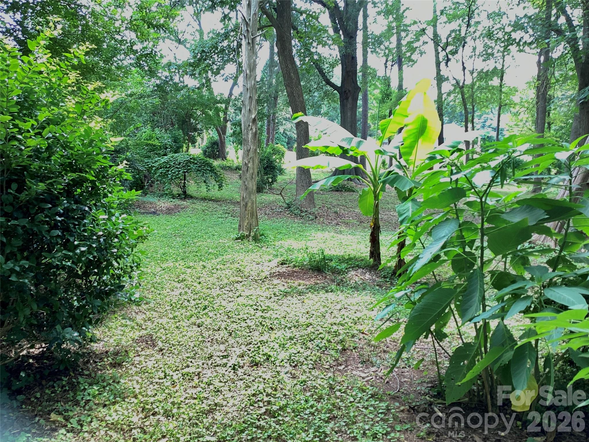 1553 Mcconnells Highway Property Photo 9
