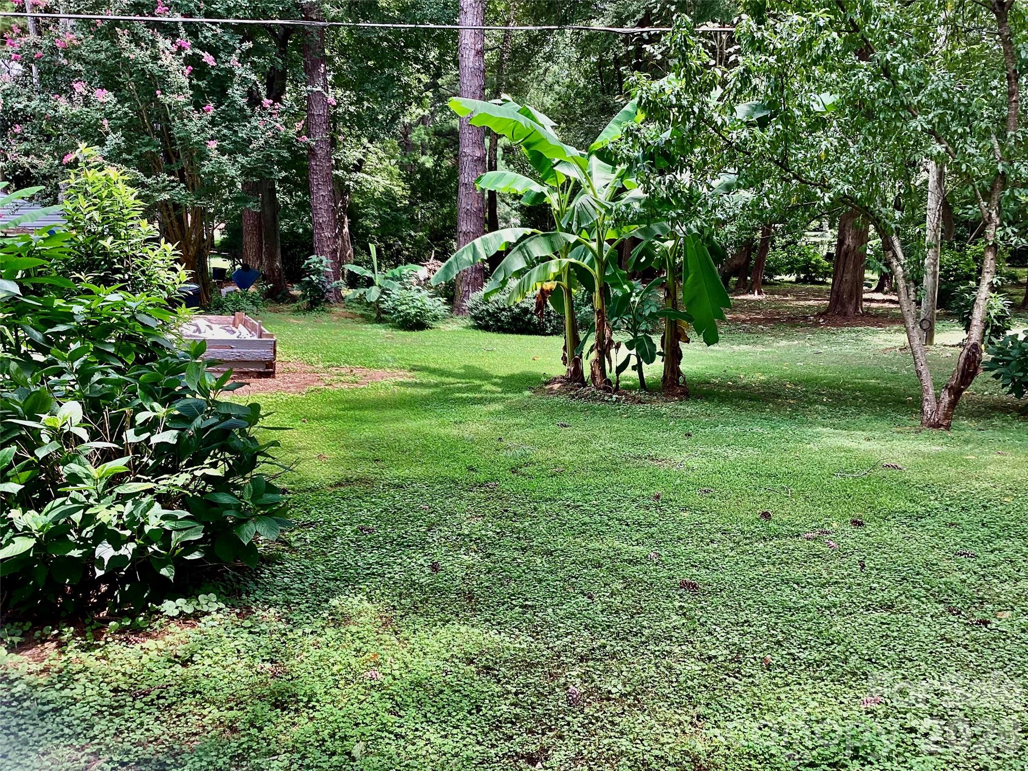 1553 Mcconnells Highway Property Photo 10
