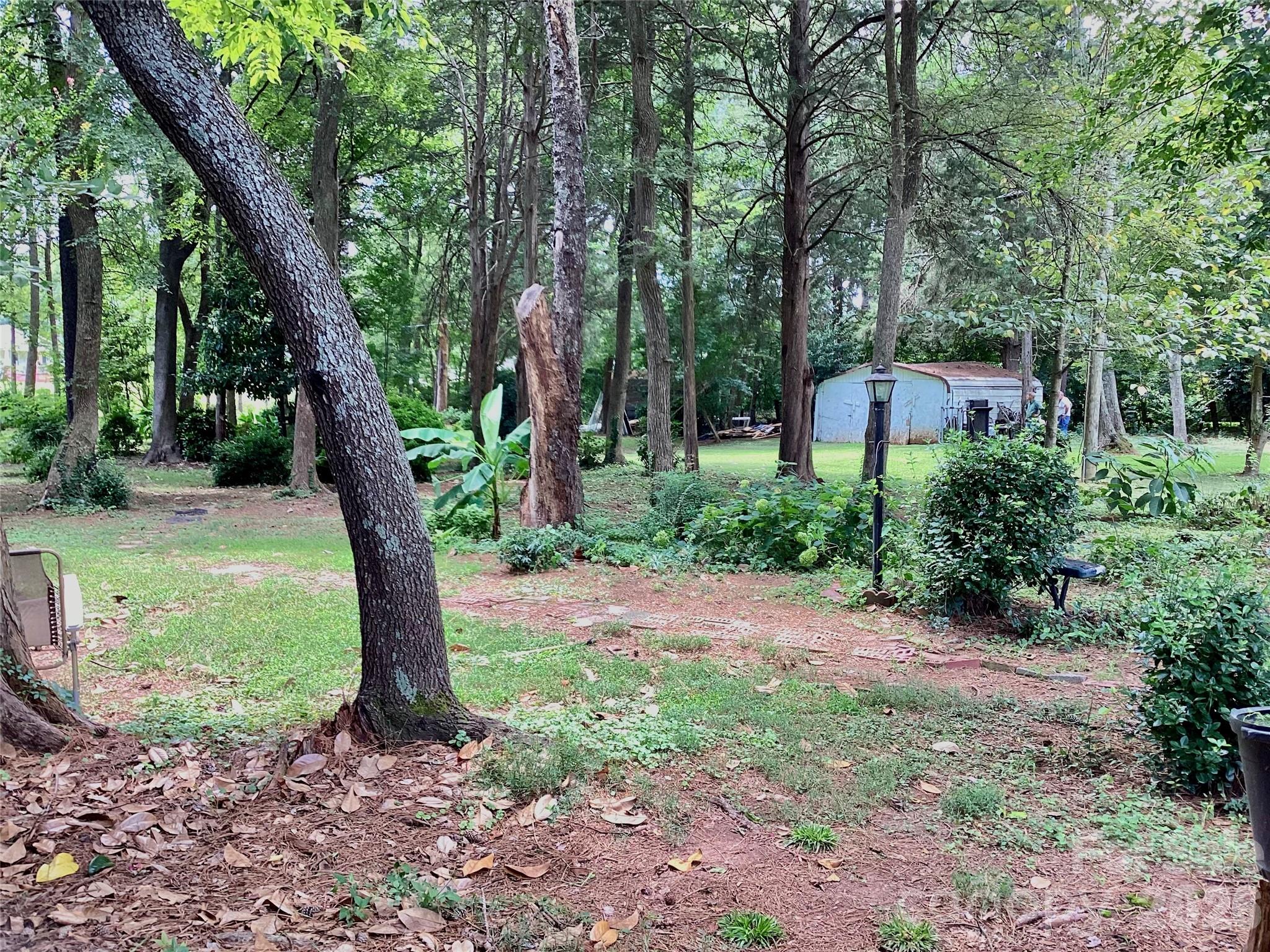 1553 Mcconnells Highway Property Photo 11