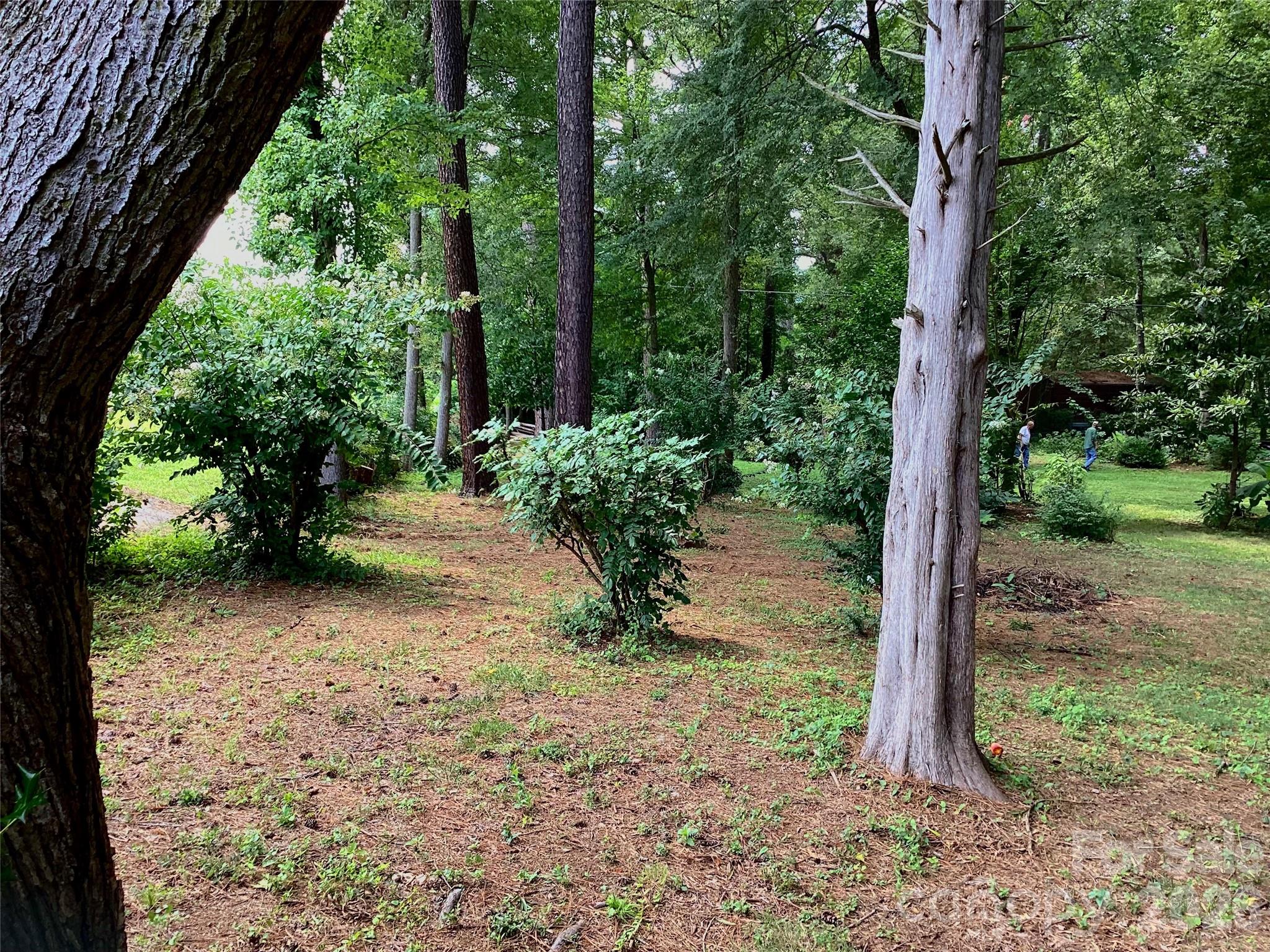 1553 Mcconnells Highway Property Photo 12