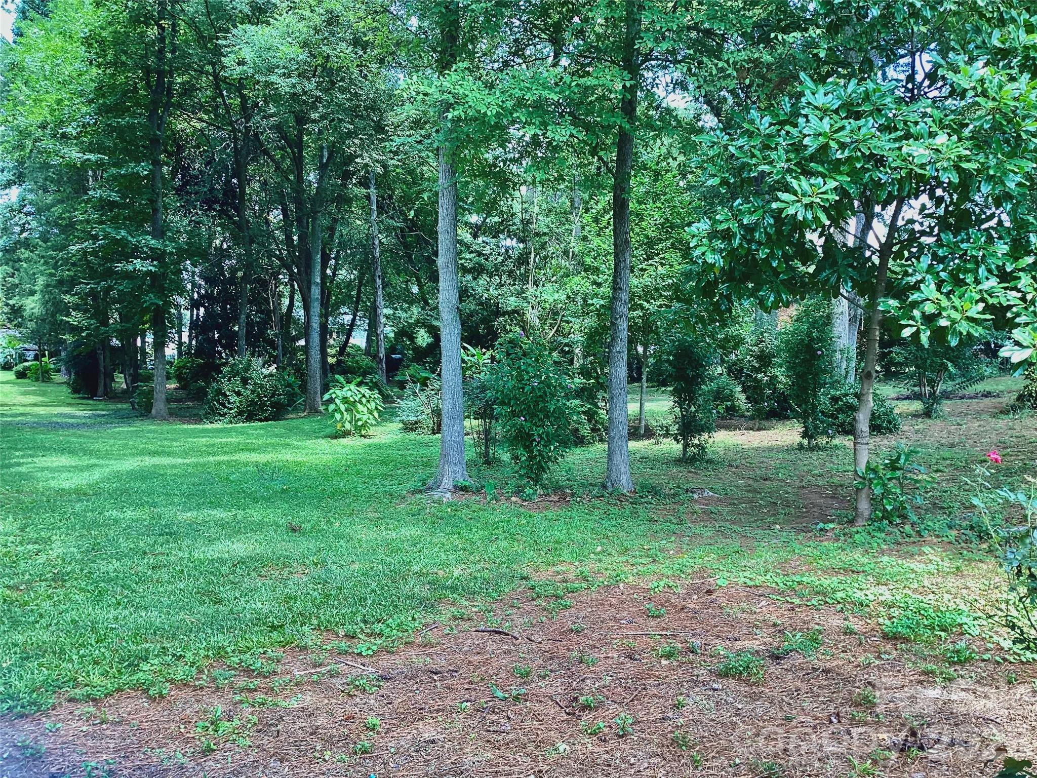1553 Mcconnells Highway Property Photo 13