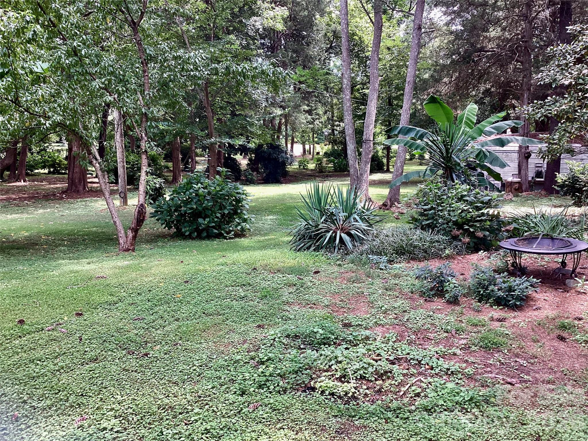 1553 Mcconnells Highway Property Photo 14