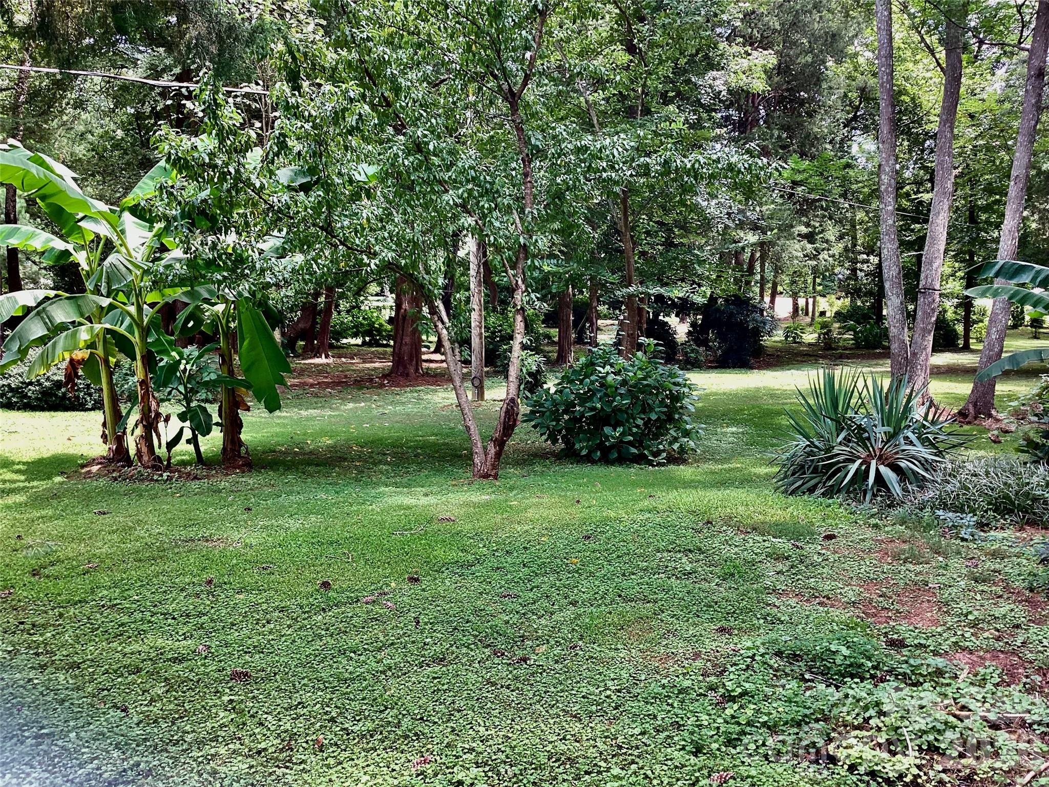 1553 Mcconnells Highway Property Photo 15