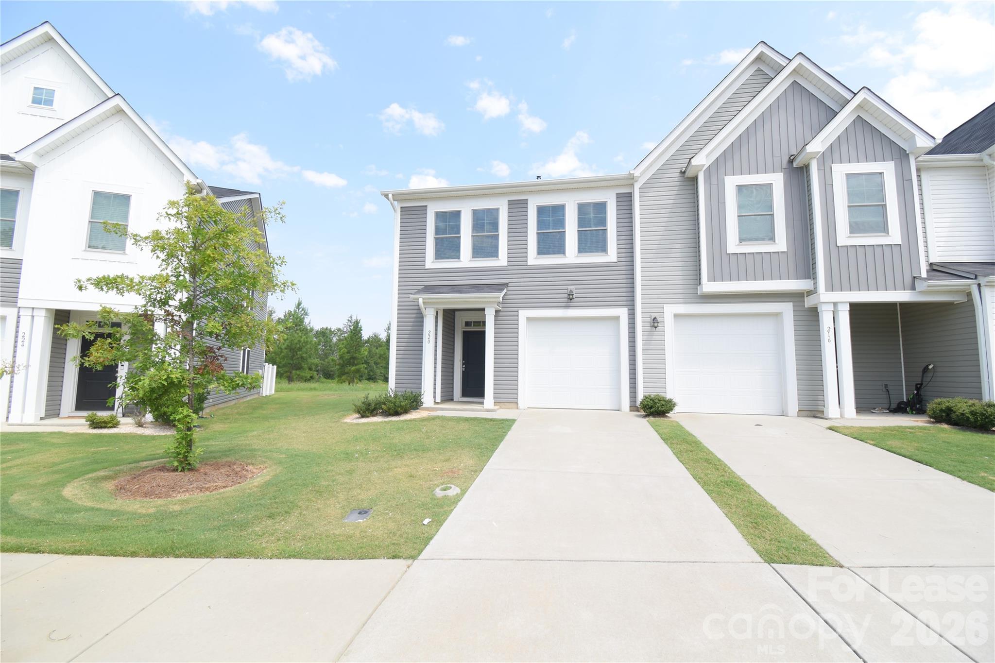 220 Briana Marie Way Property Photo 1