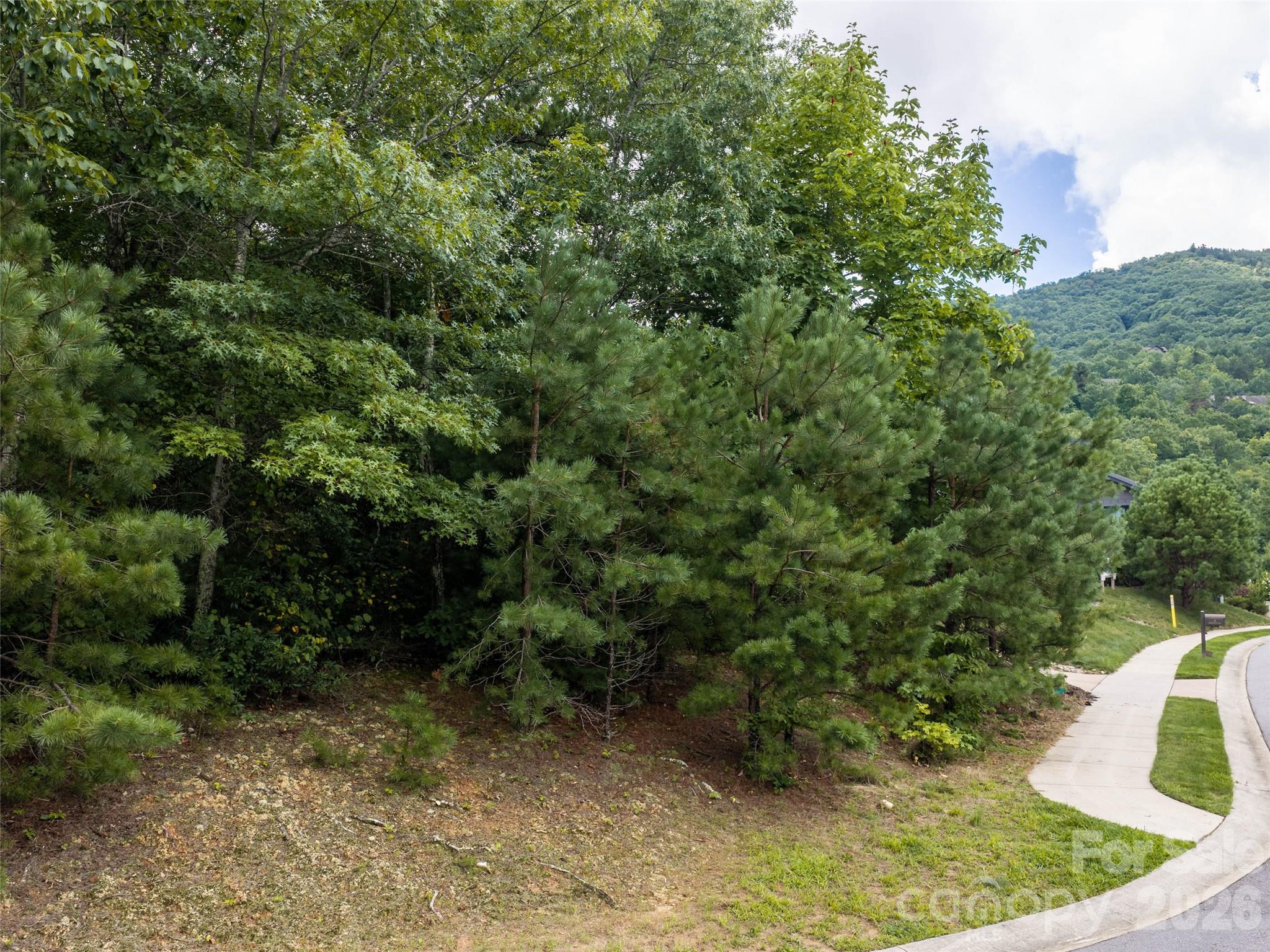 15 Panther Gap Road 116 Property Photo 7