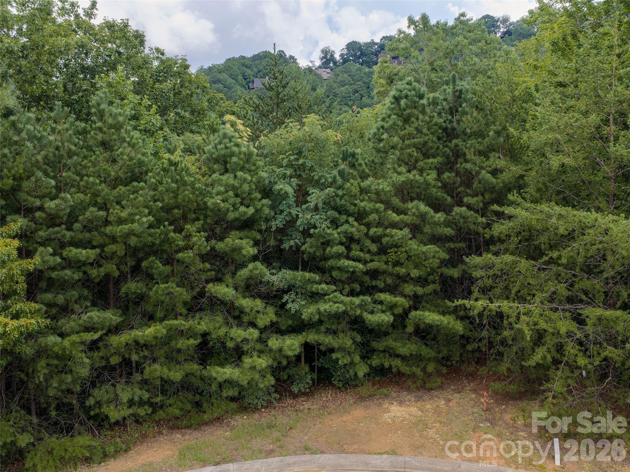 15 Panther Gap Road 116 Property Photo 8