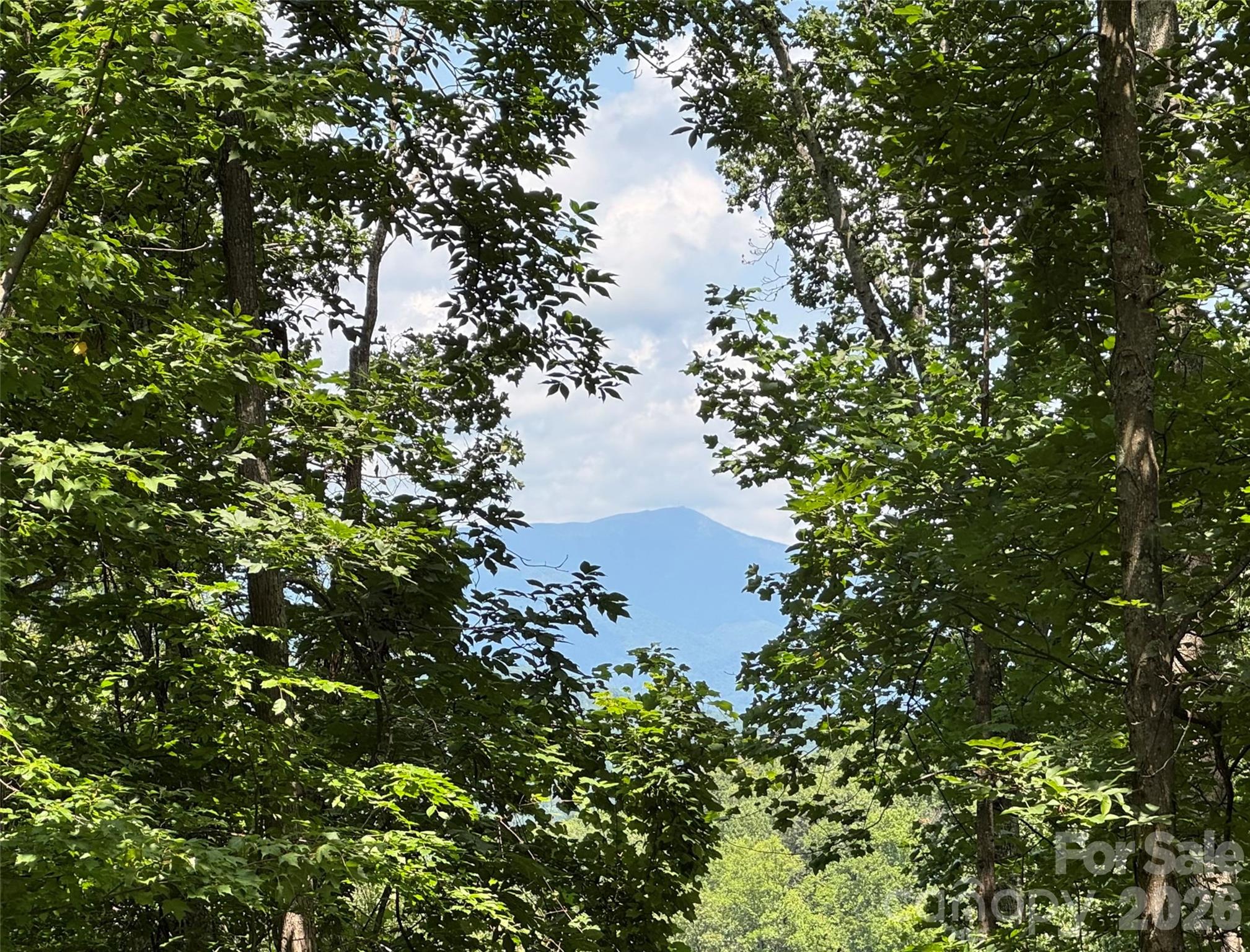 97 High Hickory Trail 2 Property Photo 2