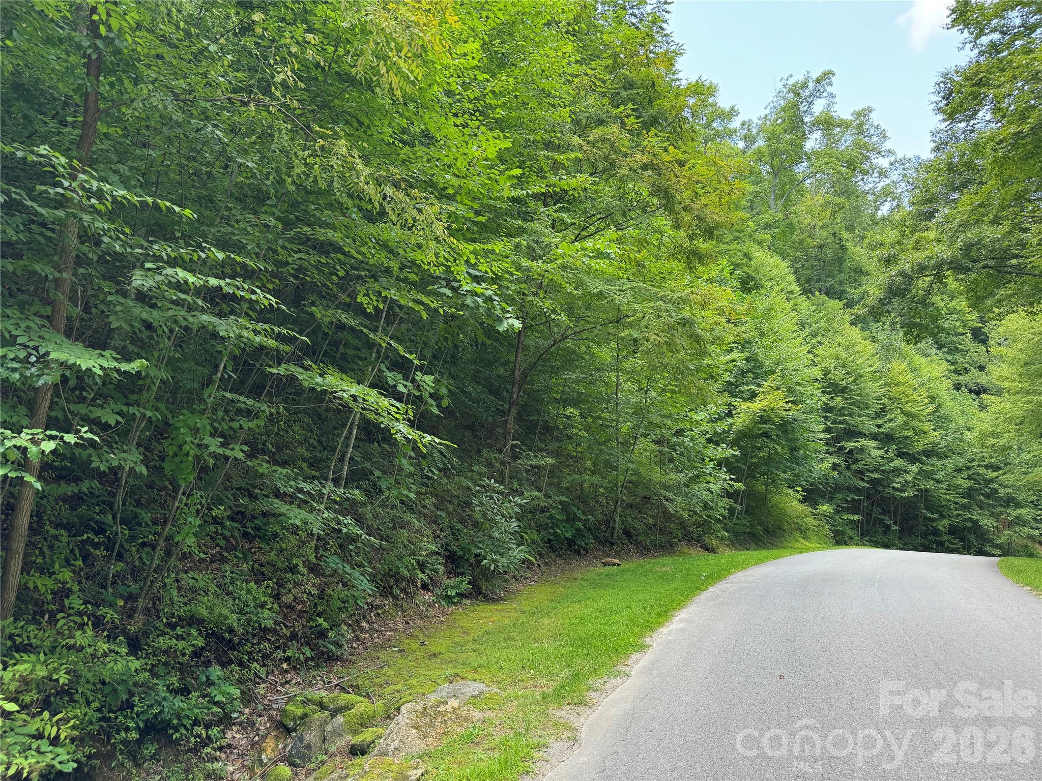 97 High Hickory Trail 2 Property Photo 3