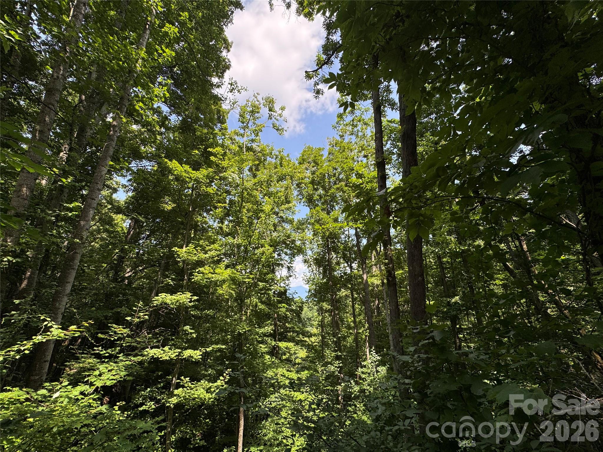 97 High Hickory Trail 2 Property Photo 8
