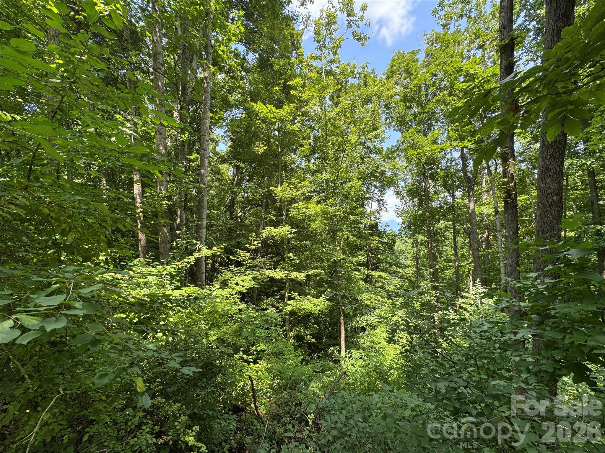 97 High Hickory Trail 2 Property Photo 9