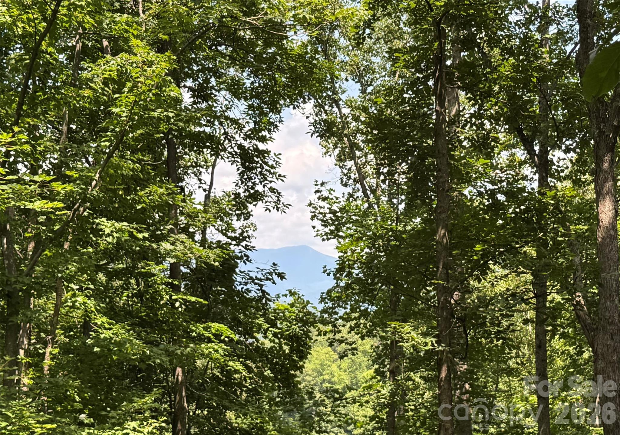 97 High Hickory Trail 2 Property Photo 10