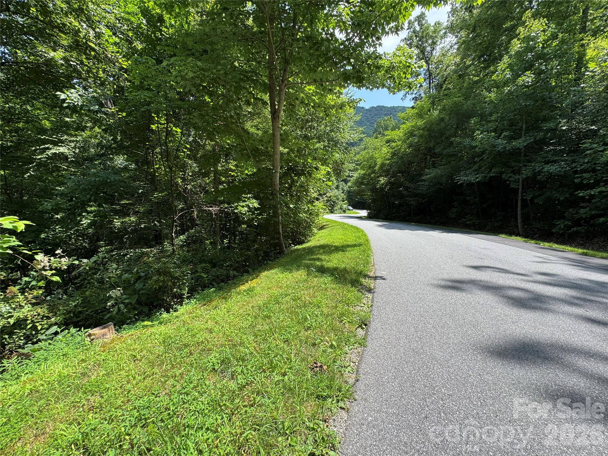 97 High Hickory Trail 2 Property Photo 11