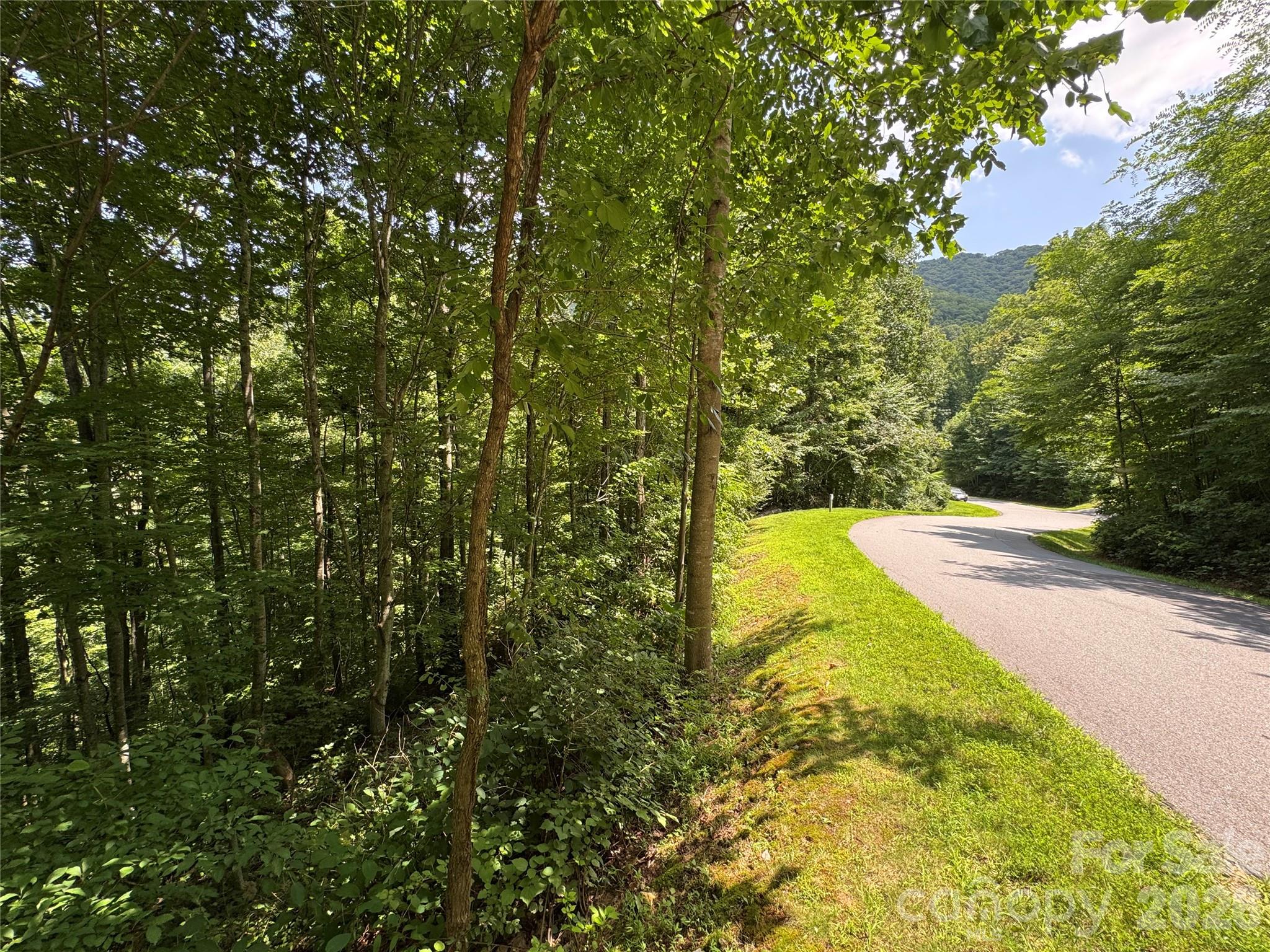 97 High Hickory Trail 2 Property Photo 12