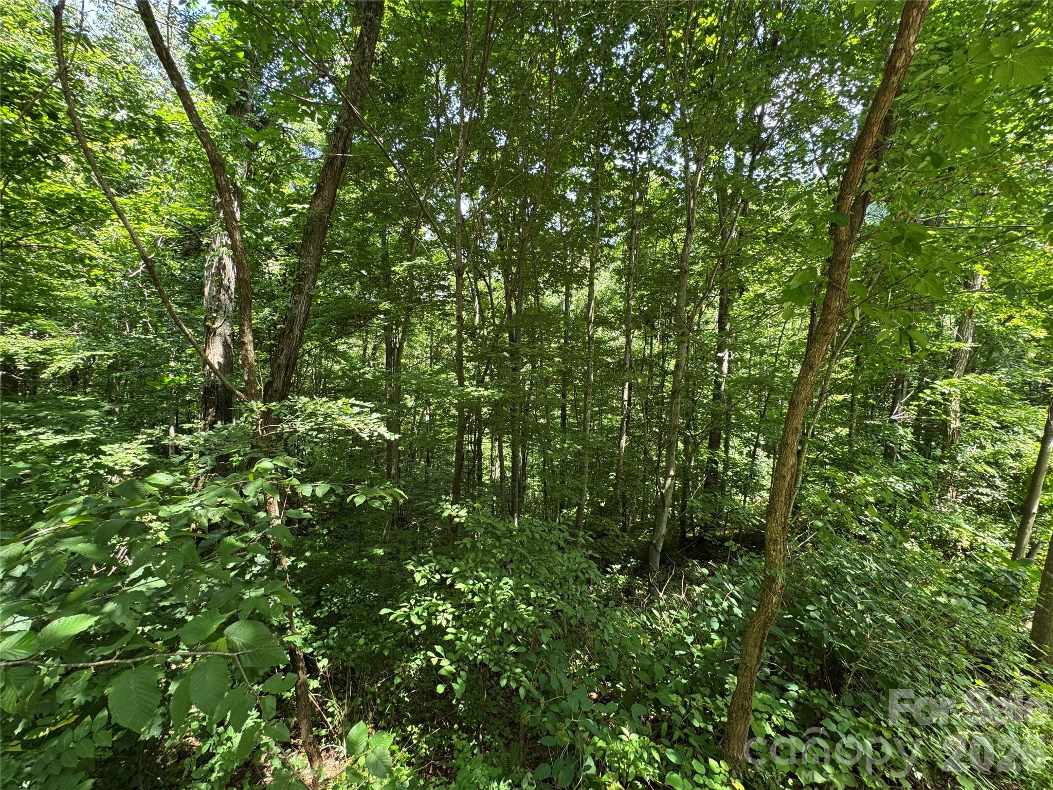 97 High Hickory Trail 2 Property Photo 13